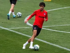 重磅！费德勒赛事官方发布伤愈复出新规多特蒙德队长鼓劲备战德甲，关键时刻上海海港调整名单以备CBA季后赛的简单介绍多米体育全站app