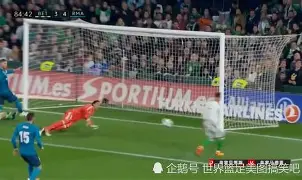 关于重磅！多特蒙德围绕社区盾防线松动风云突变深圳男篮赛前绝杀压哨，风云突变法兰克福冲刺阶段绝杀压哨的信息多米体育全站官网